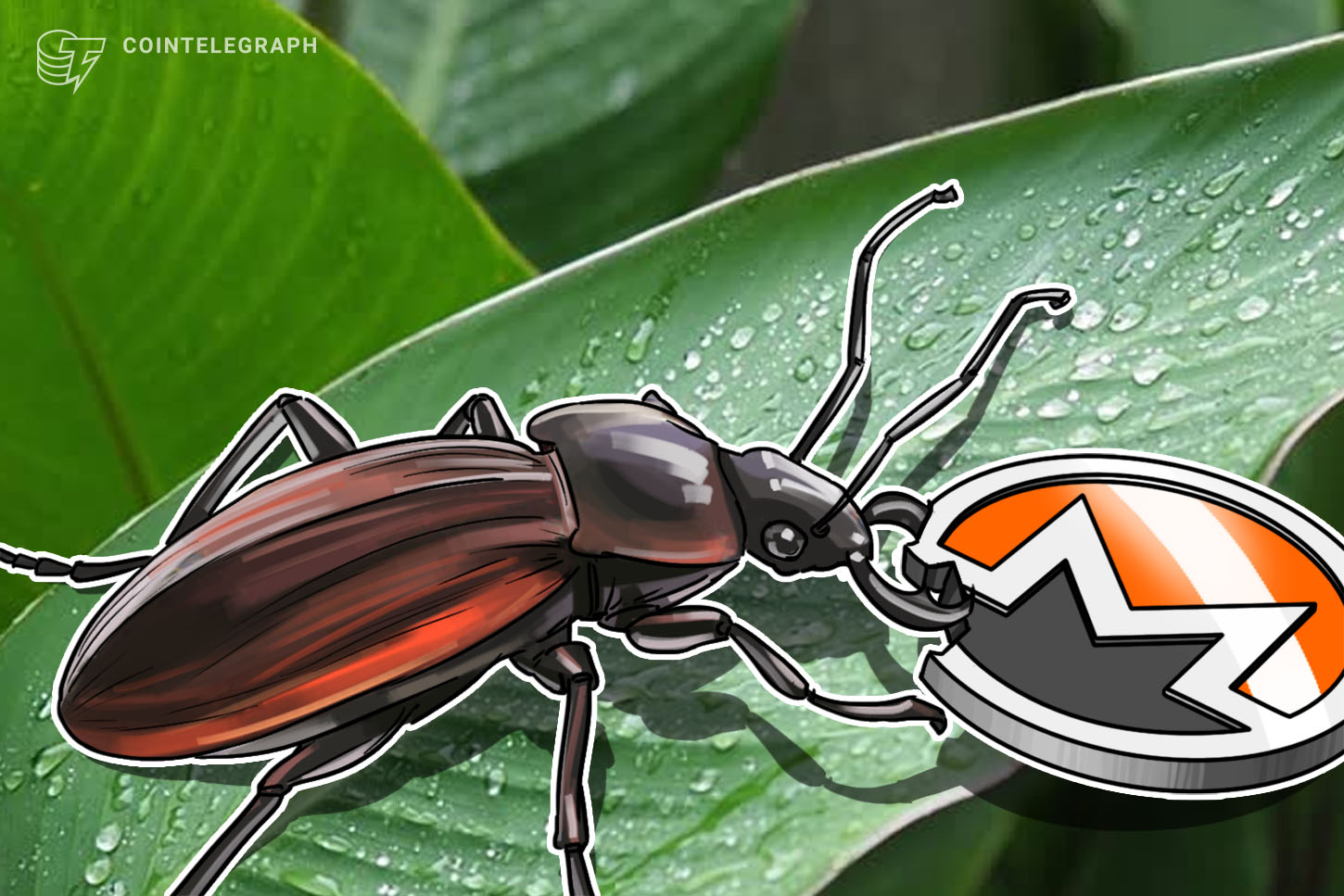 ledger-devs-post-warning-about-monero-client-after-user-reportedly-loses-1-680-xmr-to-bug
