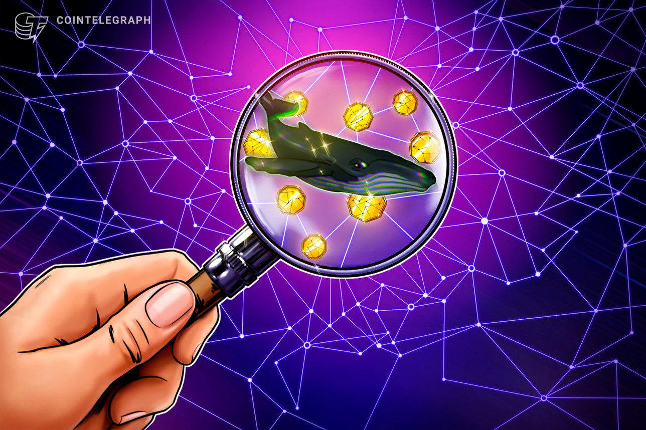 top-five-blockchains-2025-transaction-growth