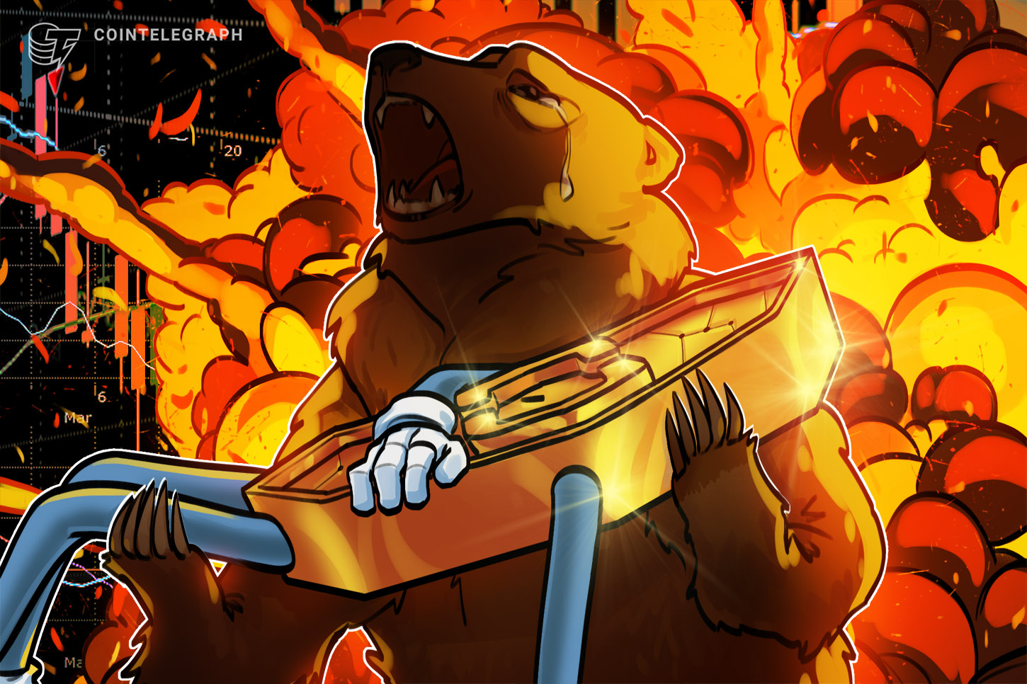 ripio-talks-about-bear-market