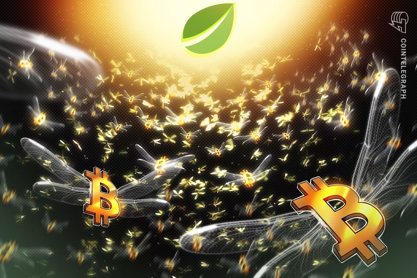 bitfinex-bitcoin-longs-hit-2-year-high-is-a-rally-to-100k-possible