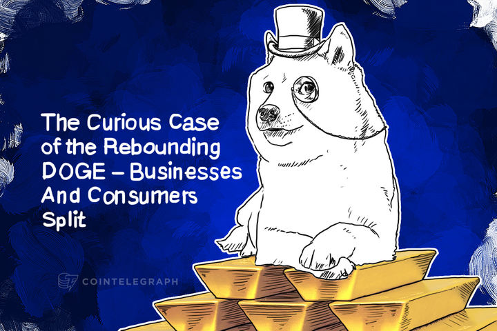 the-curious-case-of-the-rebounding-doge-businesses-and-consumers-split