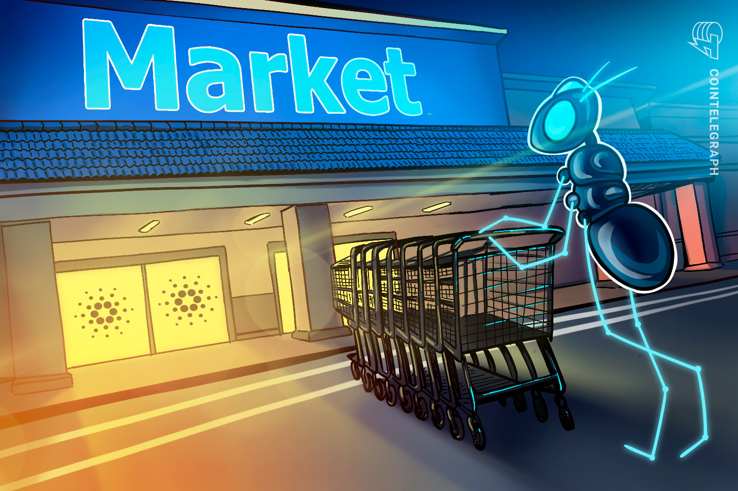 cardano-checkout-rails-137-swiss-spar-stores