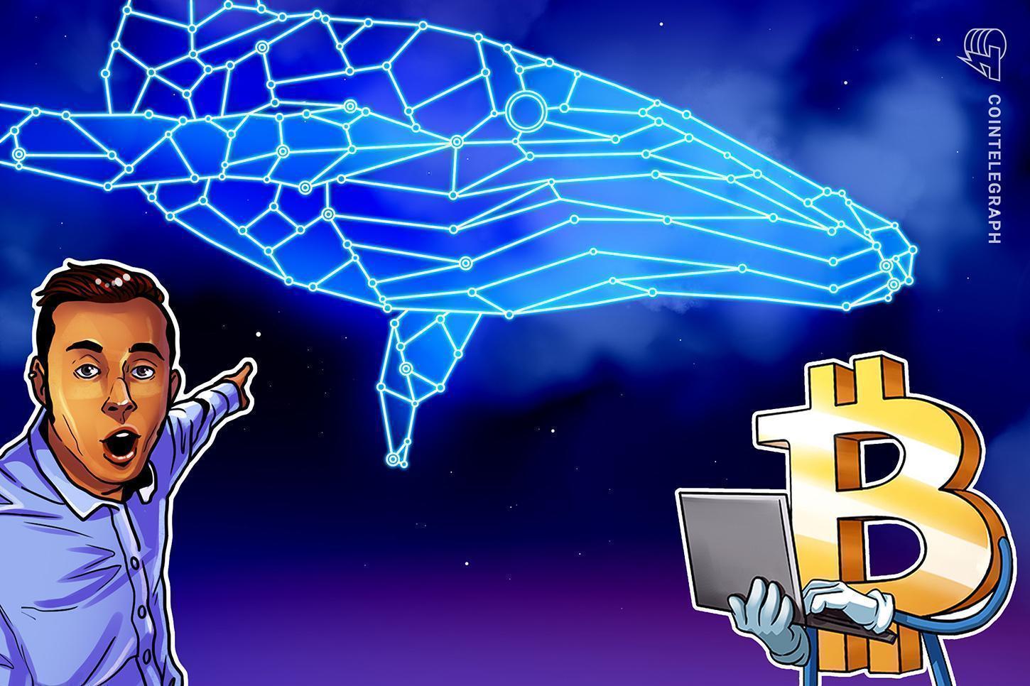 bitcoin-whales-sell-iran-war-oil-spike