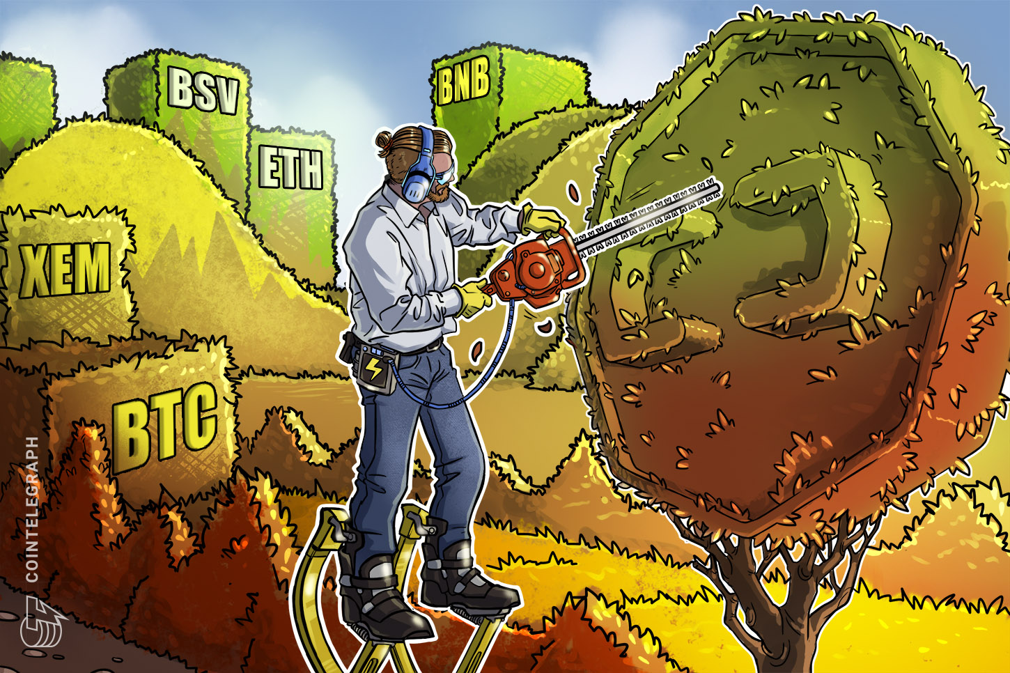 top-5-crypto-performers-btc-xem-bsv-eth-bnb