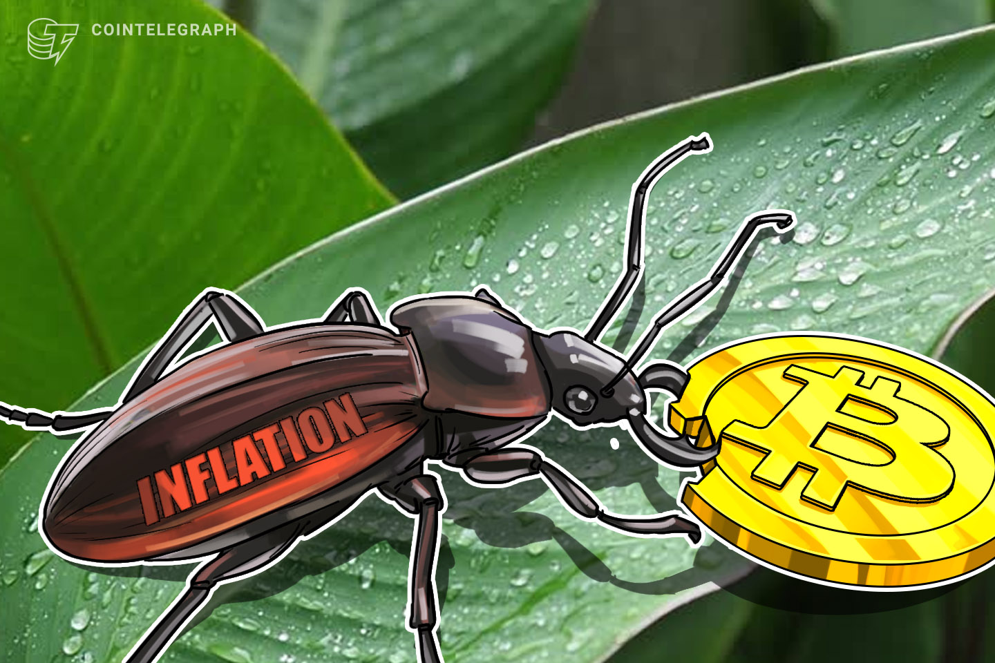 research-60-of-all-bitcoin-full-nodes-are-still-vulnerable-to-inflation-bug