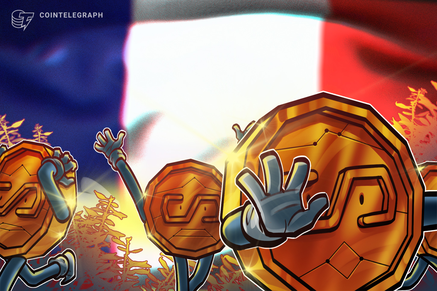 france-mica-limits-stablecoin-payments