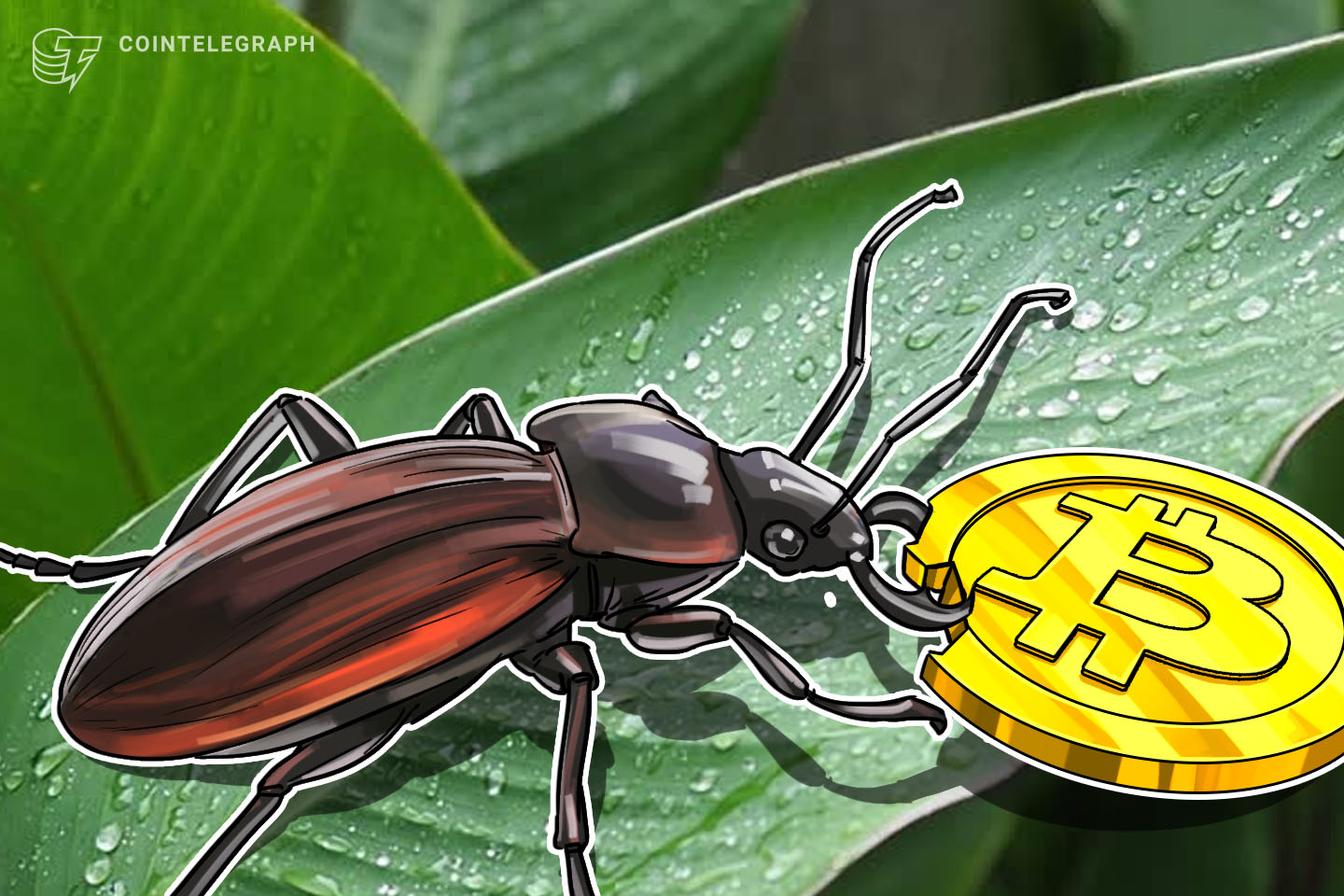 bug-on-kraken-let-users-buy-bitcoin-2k-cheaper-and-sell-2k-higher