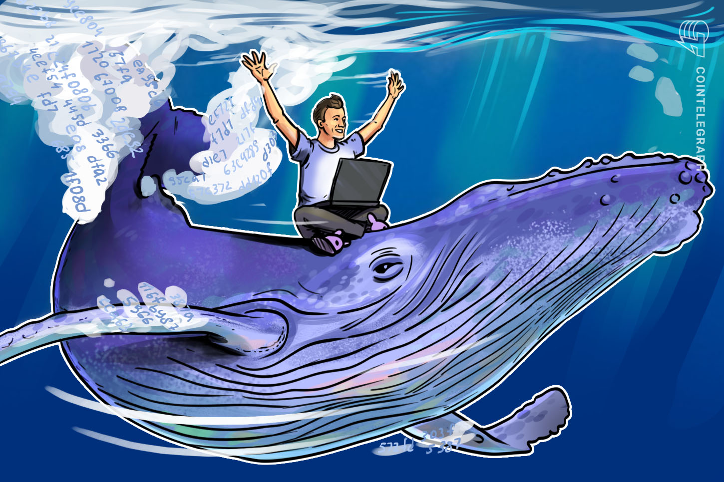 one-whale-was-behind-bitcoins-2017-bull-run-claim-researchers