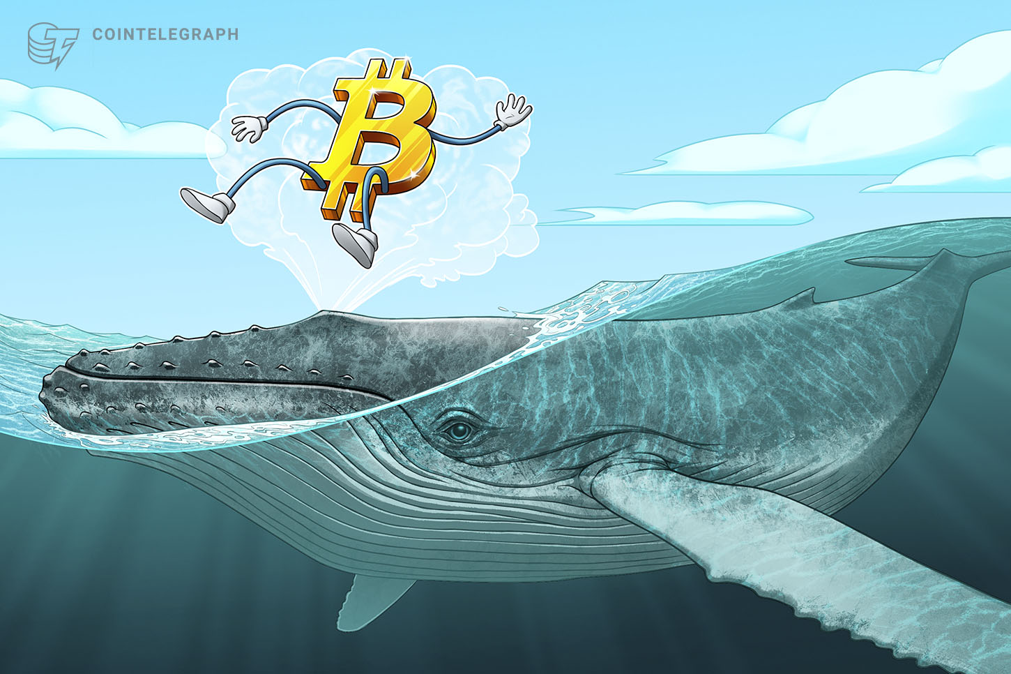 analysts-laugh-off-recent-one-whale-theory-of-btcs-2017-bull-run