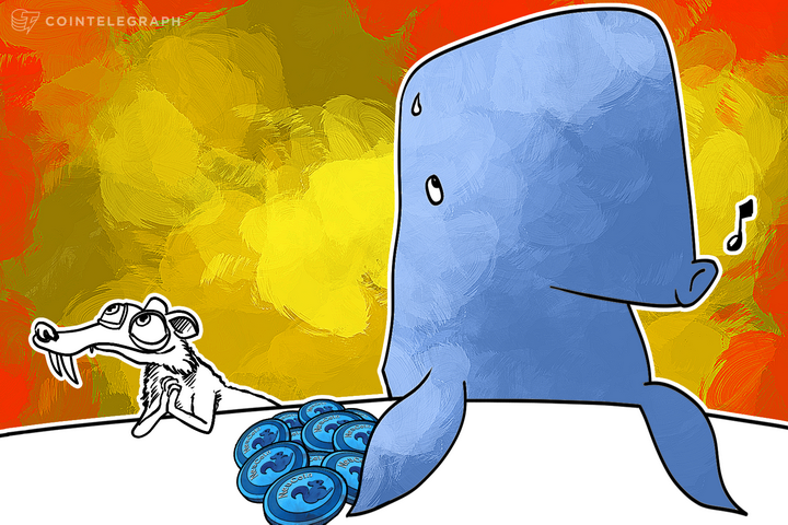 neucoin-implements-anti-whale-measures-in-reaction-to-presale-popularity