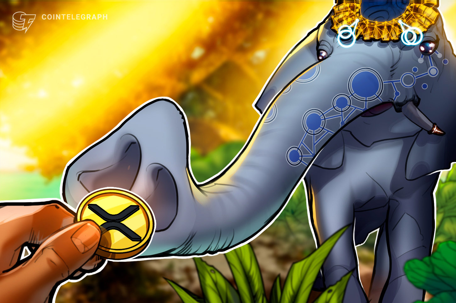 ripple-touts-xrp-use-in-new-crypto-framework-suggested-for-india