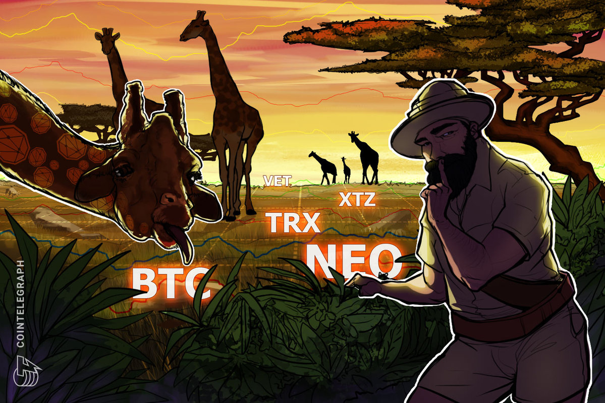 top-5-cryptocurrencies-to-watch-this-week-btc-neo-trx-xtz-vet