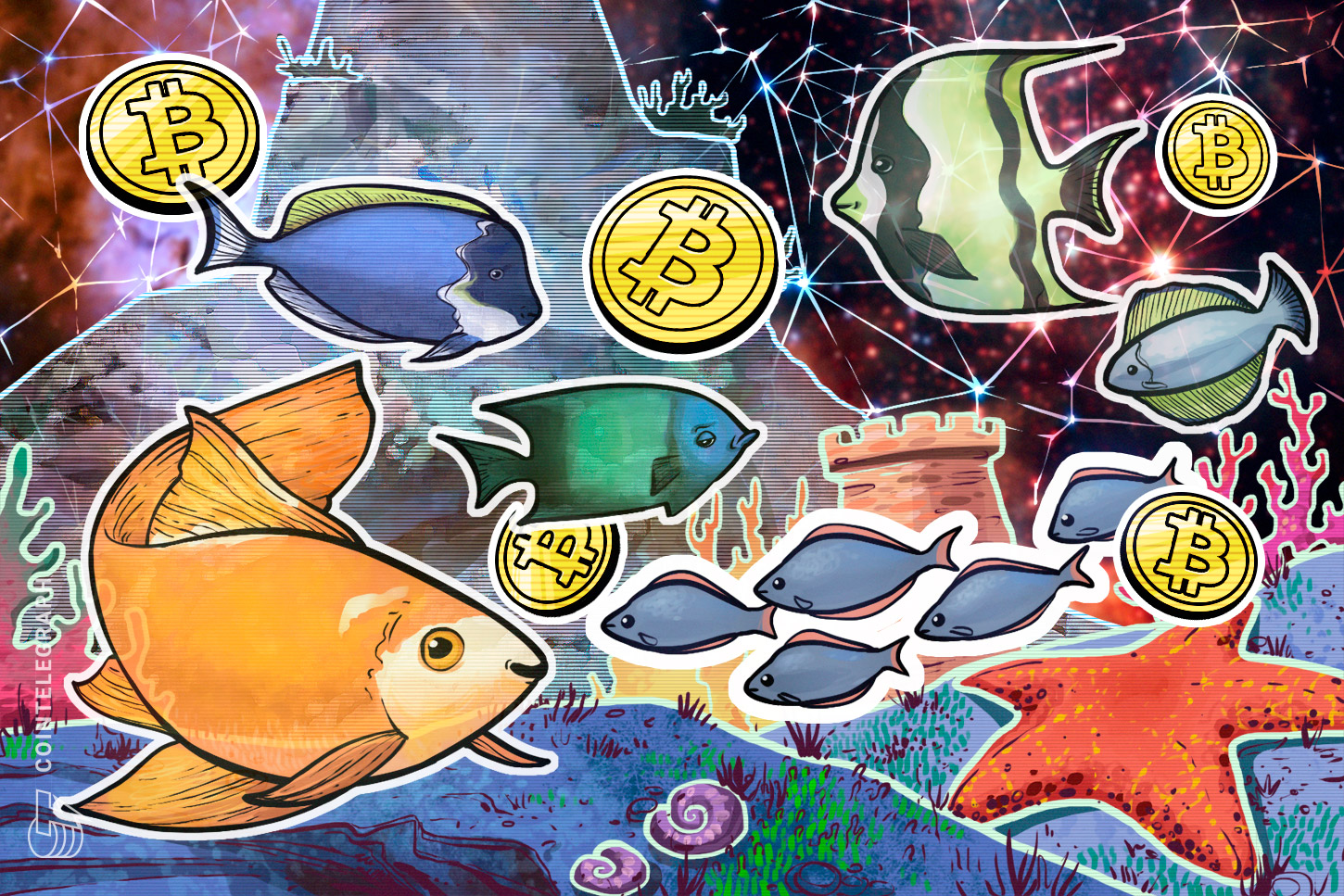 bitcoin-shortage-as-wall-street-fomo-turns-btc-whales-into-plankton