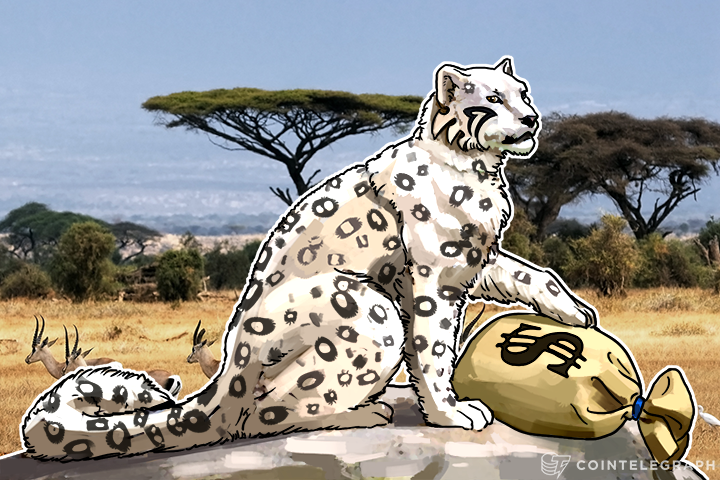 bitfury-invests-in-bitpesa-the-african-bitcoin-payment-platform