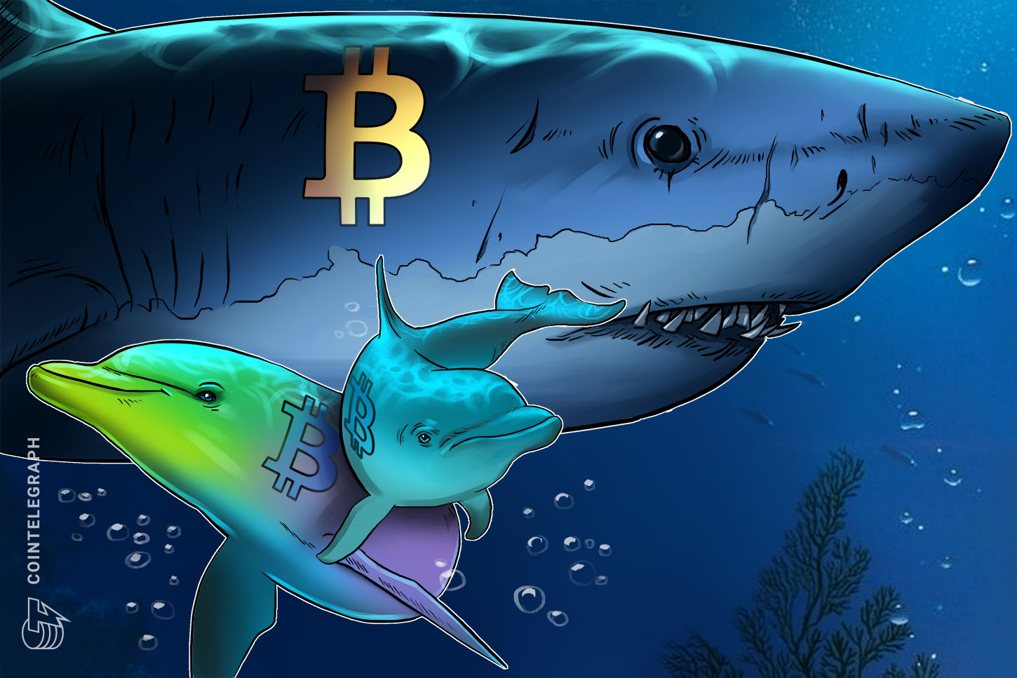 bitcoin-accumulation-uptrend-can-create-a-2013-style-btc-price-double-pump