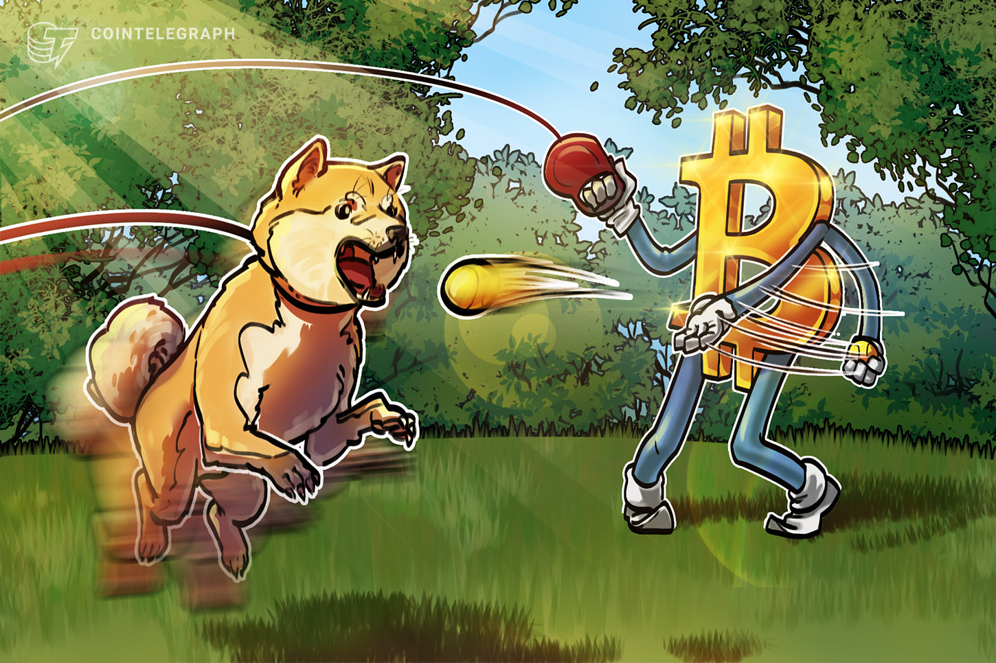 dogecoin-loses-70-against-bitcoin-during-6-months-of-celebrity-doge-endorsements