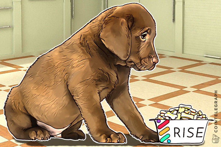 new-dapp-platform-rise-aims-at-being-most-user-friendly