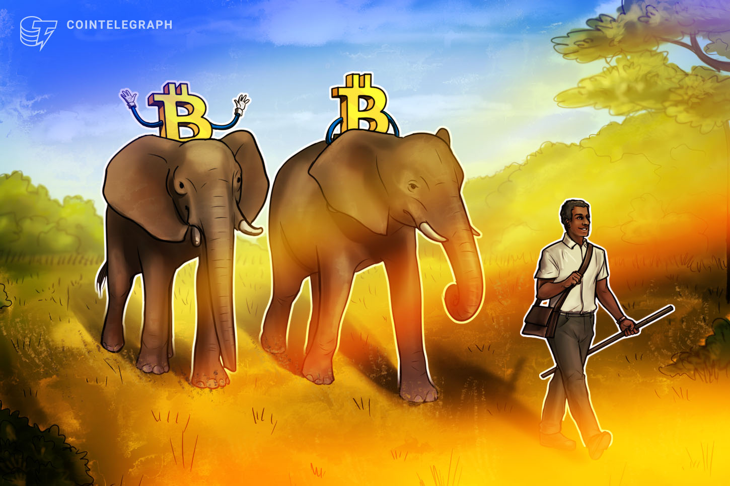 zimbabwe-may-be-the-next-country-to-embrace-bitcoin-as-legal-tender