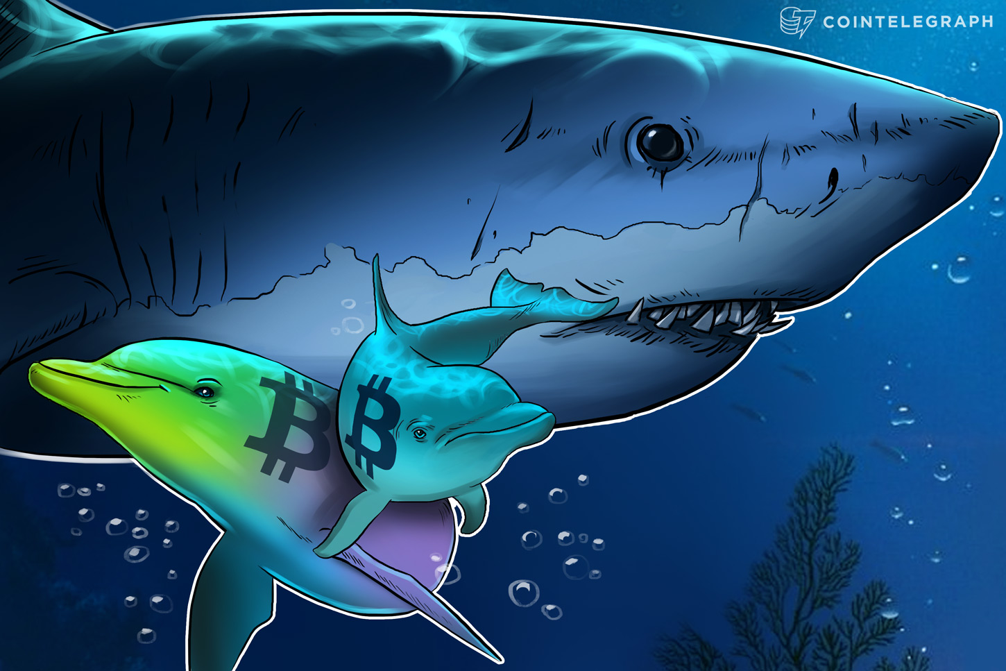 fish-food-data-shows-retail-investors-are-buying-bitcoin-whales-are-selling