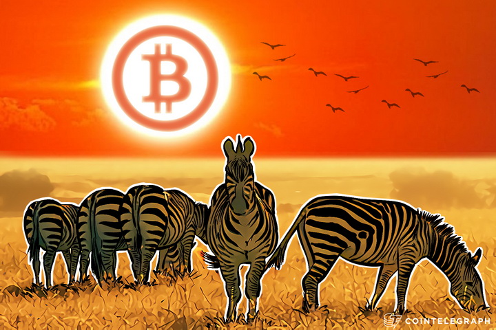 tens-of-thousands-of-merchants-accept-bitcoin-in-south-africa-as-government-is-friendly