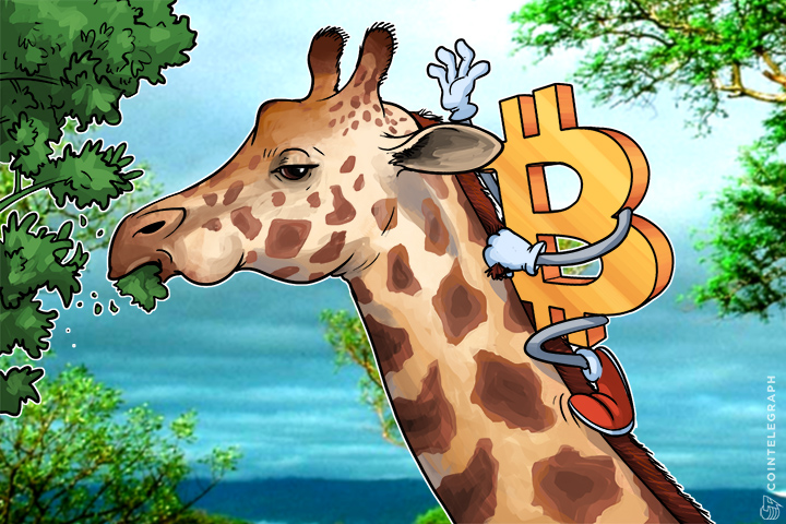 bitcoin-surges-5-in-south-africa-venezuela-with-its-1500-inflation-may-follow
