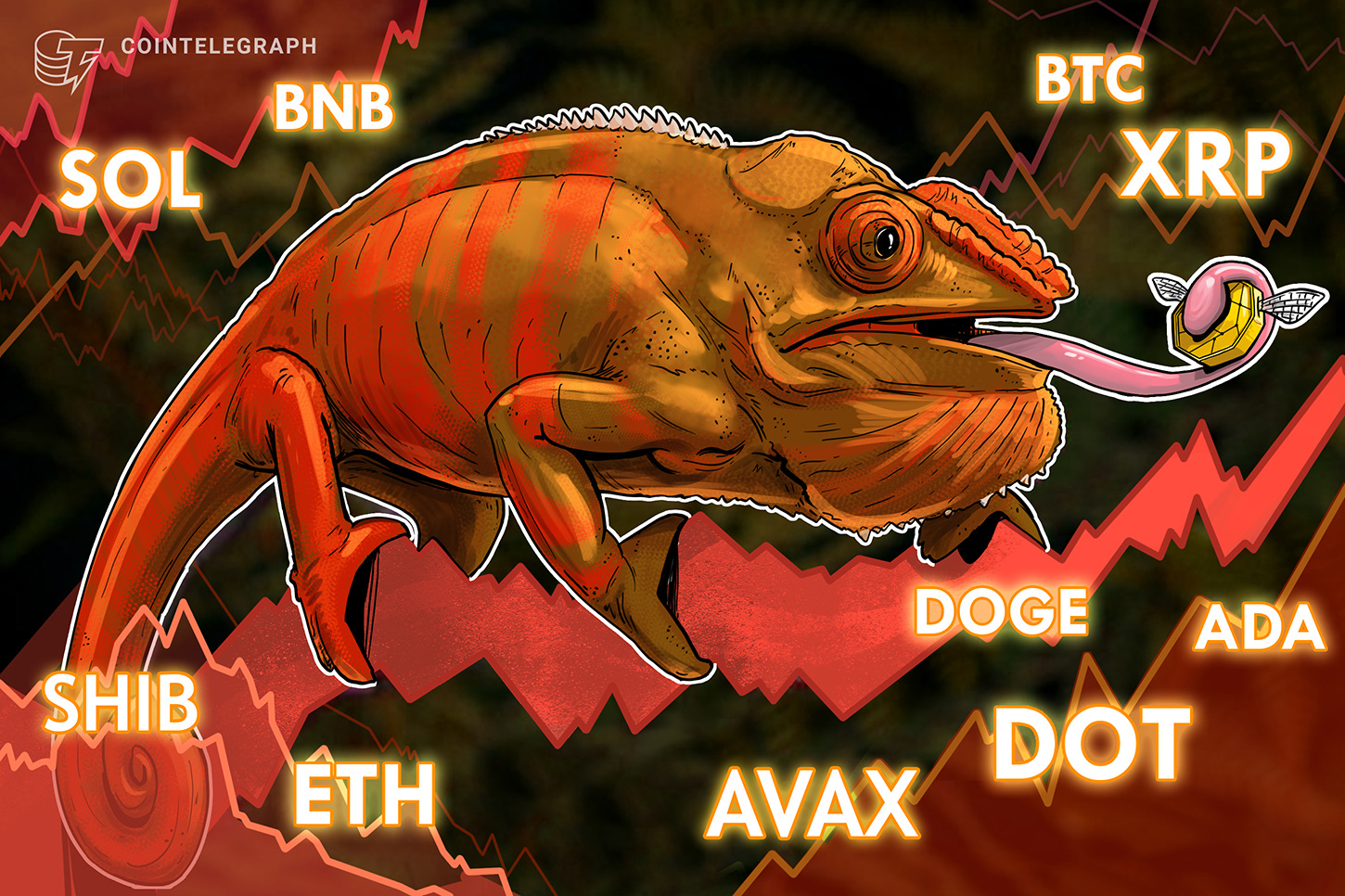 price-analysis-5-13-btc-eth-bnb-xrp-ada-sol-doge-dot-avax-shib