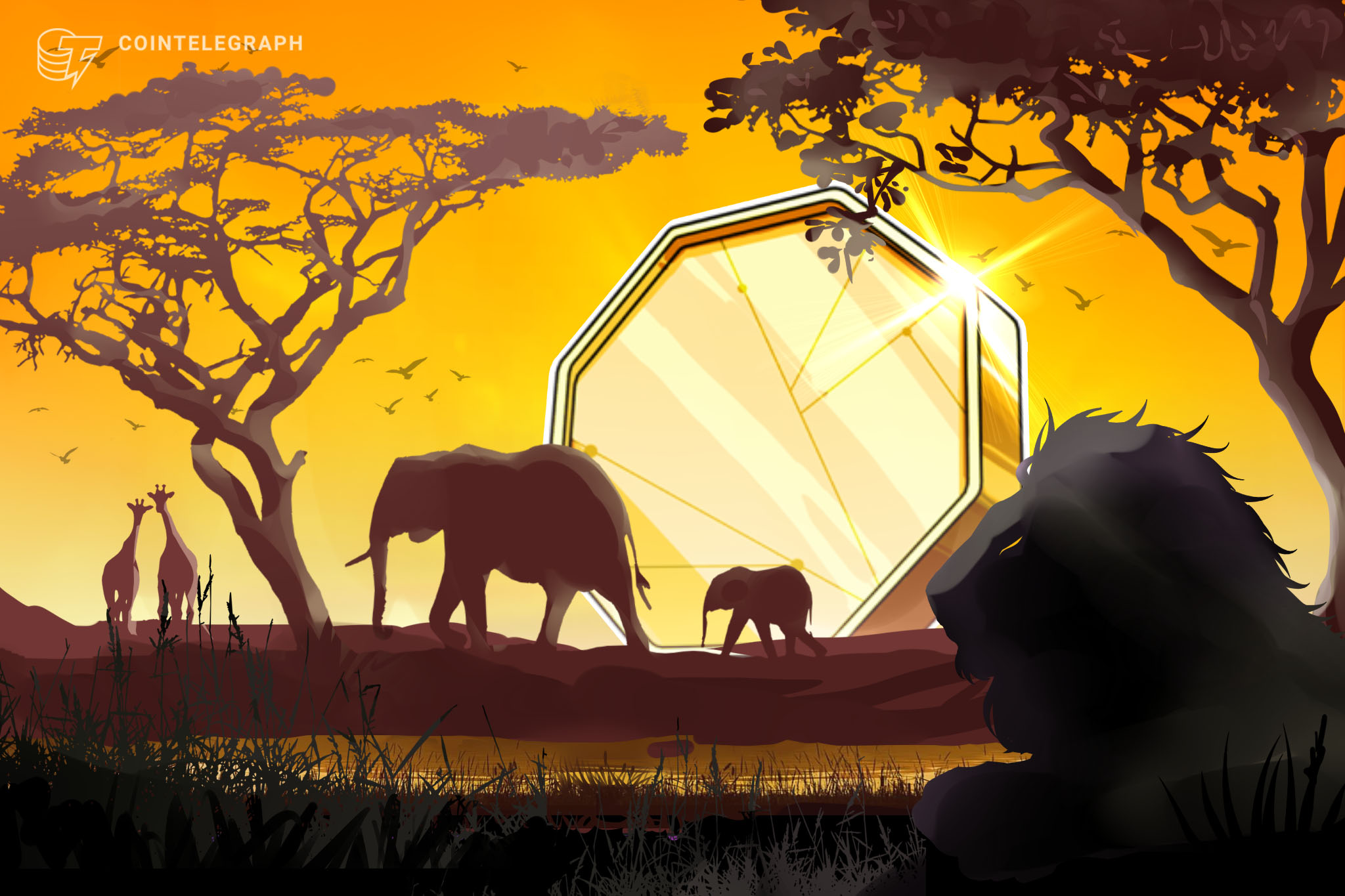 venture-funding-for-african-crypto-startups-grew-11x-in-2022-report