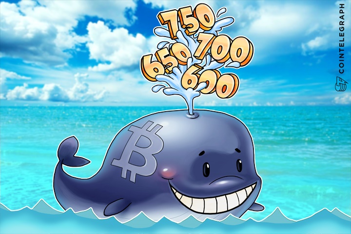 bitcoin-price-reaches-new-2016-high-highest-value-since-2014