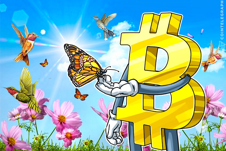 bitcoin-becomes-venezuelans-last-resort-even-when-buying-food