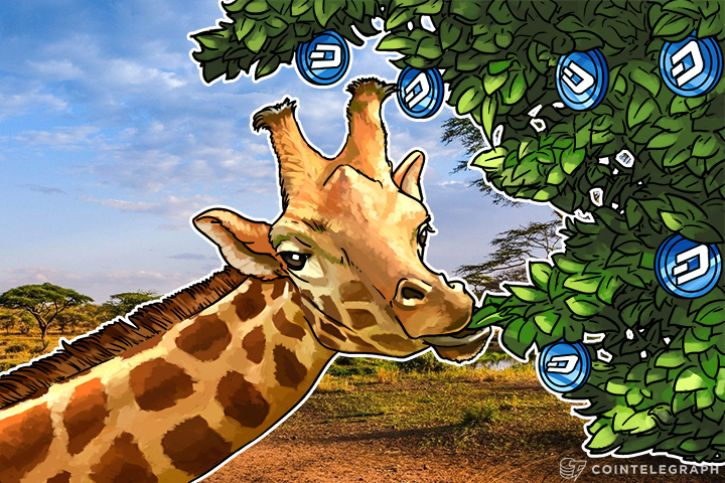 dash-reaches-dizzying-highs-as-enthusiasm-for-number-3-crypto-grows