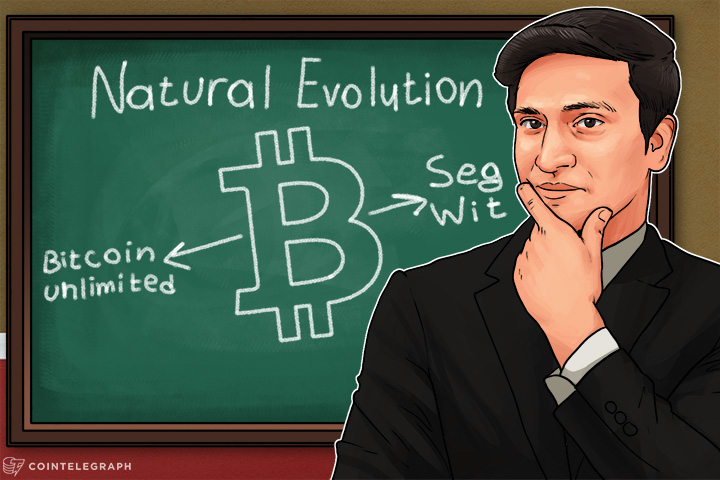 bitcoin-price-resists-significant-crash-due-to-natural-evolution-cashaas-gaurav
