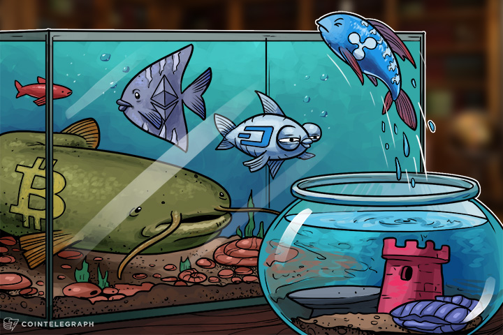 ripple-price-surge-continues-altcoin-takes-advantage-of-bitcoin-scaling-troubles