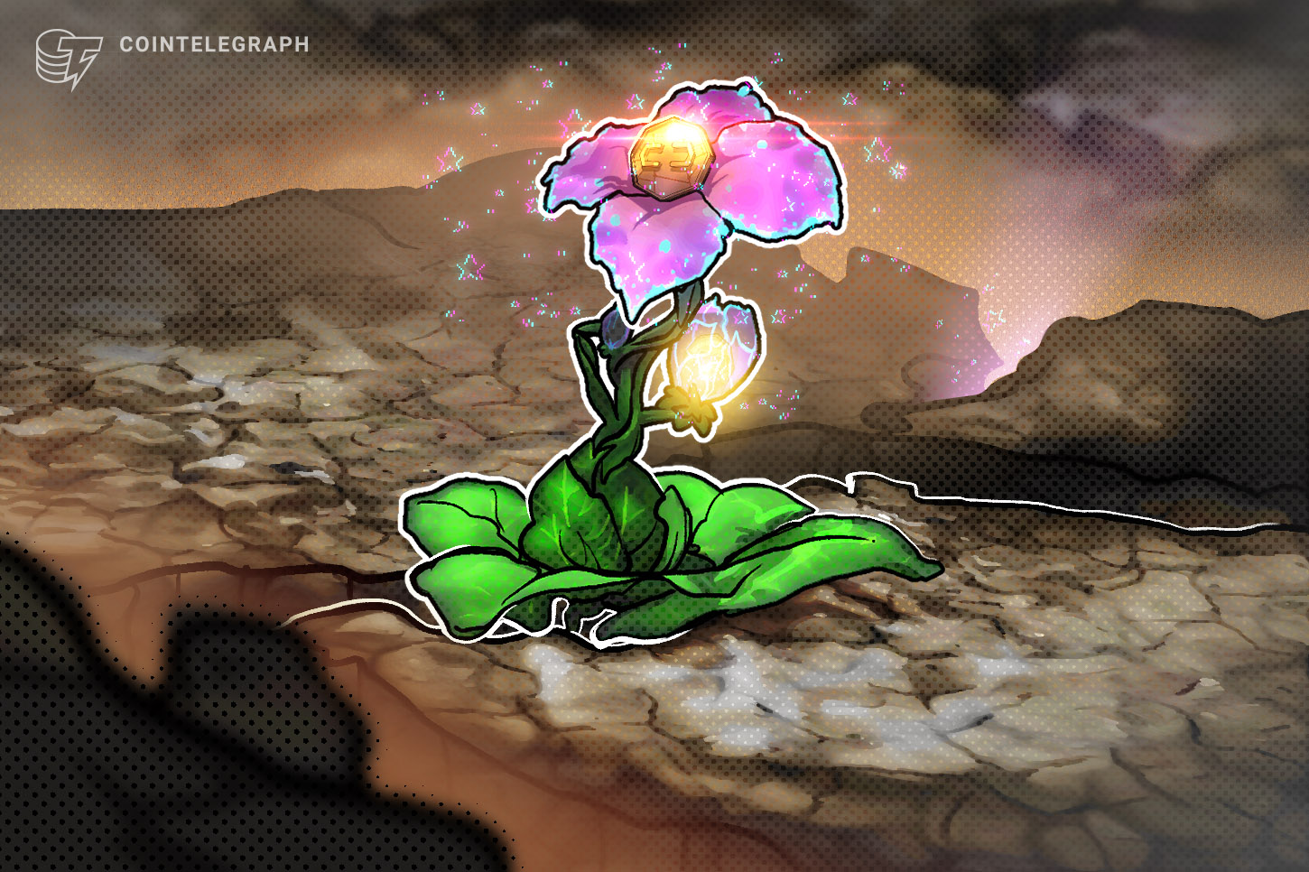 crypto-hotspots-continue-to-thrive-despite-ftx-collapse