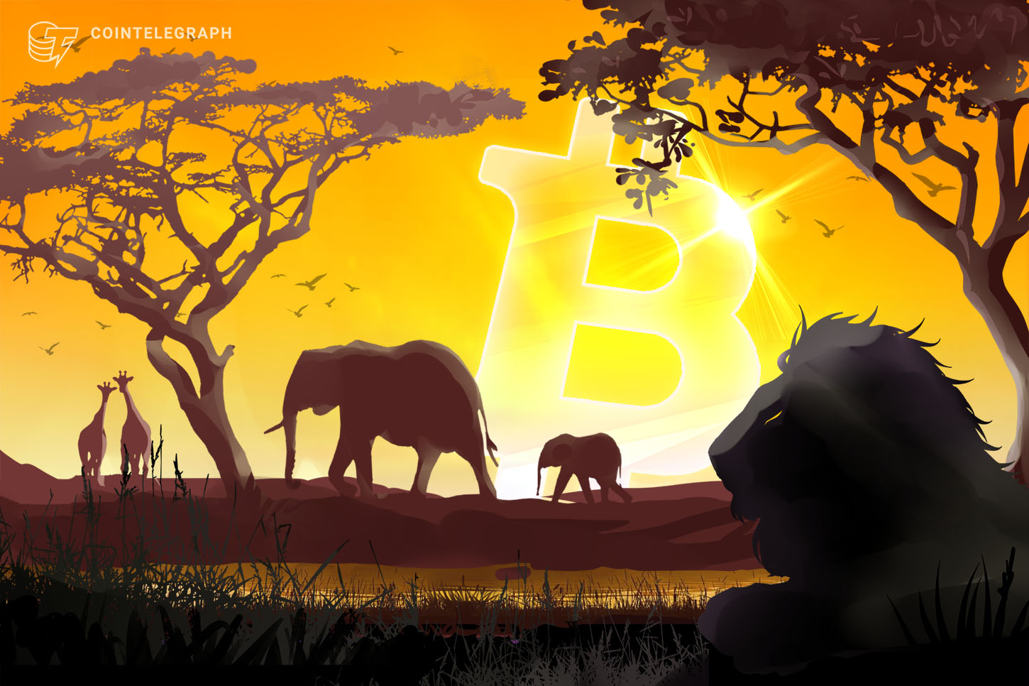 sango-coin-listing-postponed-by-central-african-republic