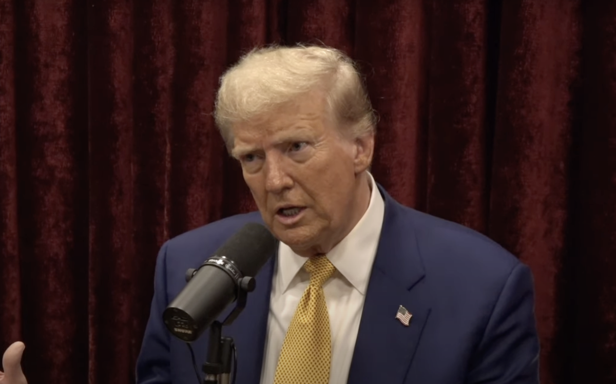 Taxes, United States, Donald Trump, Tax reduction, US Elections 2024