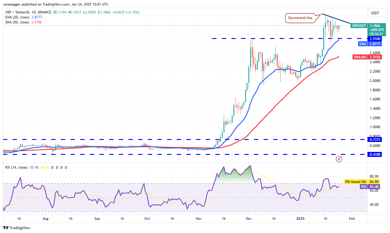 Dogecoin, Cryptocurrencies, Stellar, Bitcoin Price, XRP, Markets, Cryptocurrency Exchange, Donald Trump, Davos, Cardano, Price Analysis, Binance Coin, Chainlink, Market Analysis, Ether Price, Solana, Avalanche, BlackRock