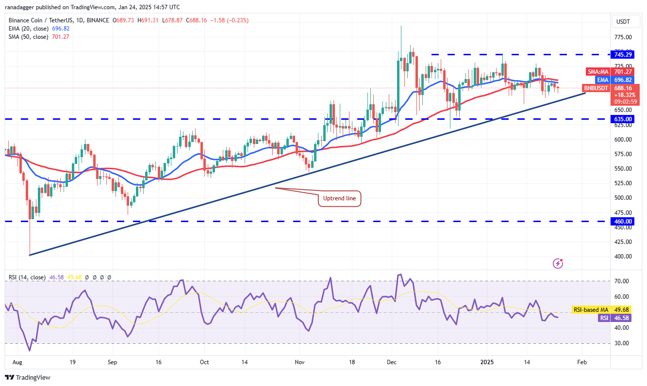 Dogecoin, Cryptocurrencies, Stellar, Bitcoin Price, XRP, Markets, Cryptocurrency Exchange, Donald Trump, Davos, Cardano, Price Analysis, Binance Coin, Chainlink, Market Analysis, Ether Price, Solana, Avalanche, BlackRock
