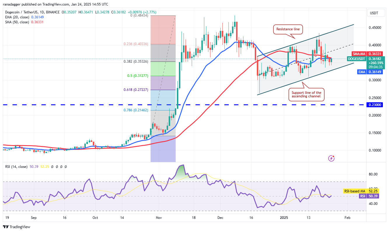 Dogecoin, Cryptocurrencies, Stellar, Bitcoin Price, XRP, Markets, Cryptocurrency Exchange, Donald Trump, Davos, Cardano, Price Analysis, Binance Coin, Chainlink, Market Analysis, Ether Price, Solana, Avalanche, BlackRock