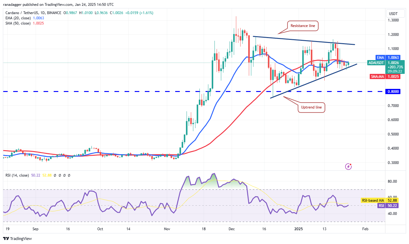 Dogecoin, Cryptocurrencies, Stellar, Bitcoin Price, XRP, Markets, Cryptocurrency Exchange, Donald Trump, Davos, Cardano, Price Analysis, Binance Coin, Chainlink, Market Analysis, Ether Price, Solana, Avalanche, BlackRock