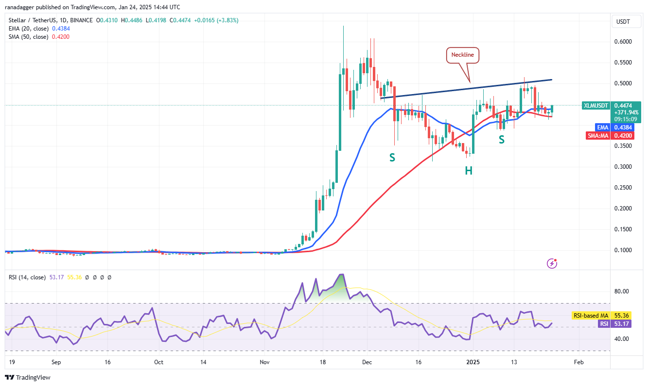 Dogecoin, Cryptocurrencies, Stellar, Bitcoin Price, XRP, Markets, Cryptocurrency Exchange, Donald Trump, Davos, Cardano, Price Analysis, Binance Coin, Chainlink, Market Analysis, Ether Price, Solana, Avalanche, BlackRock
