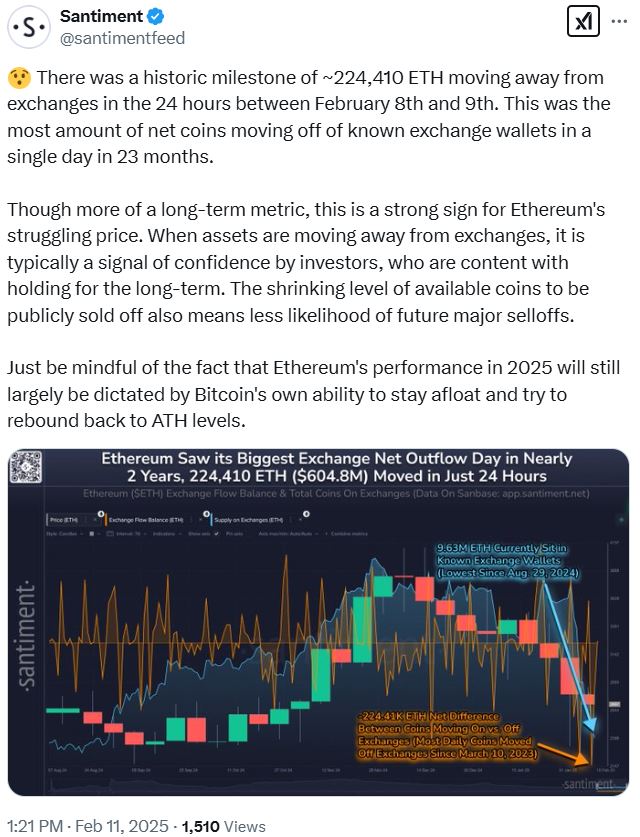 Data, Memecoin