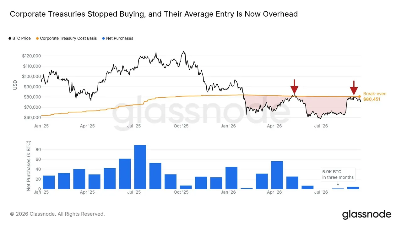 Bitcoin corporate treasury data. Source: Glassnode
