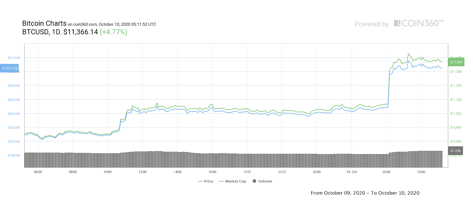 Bitcoin price daily performance