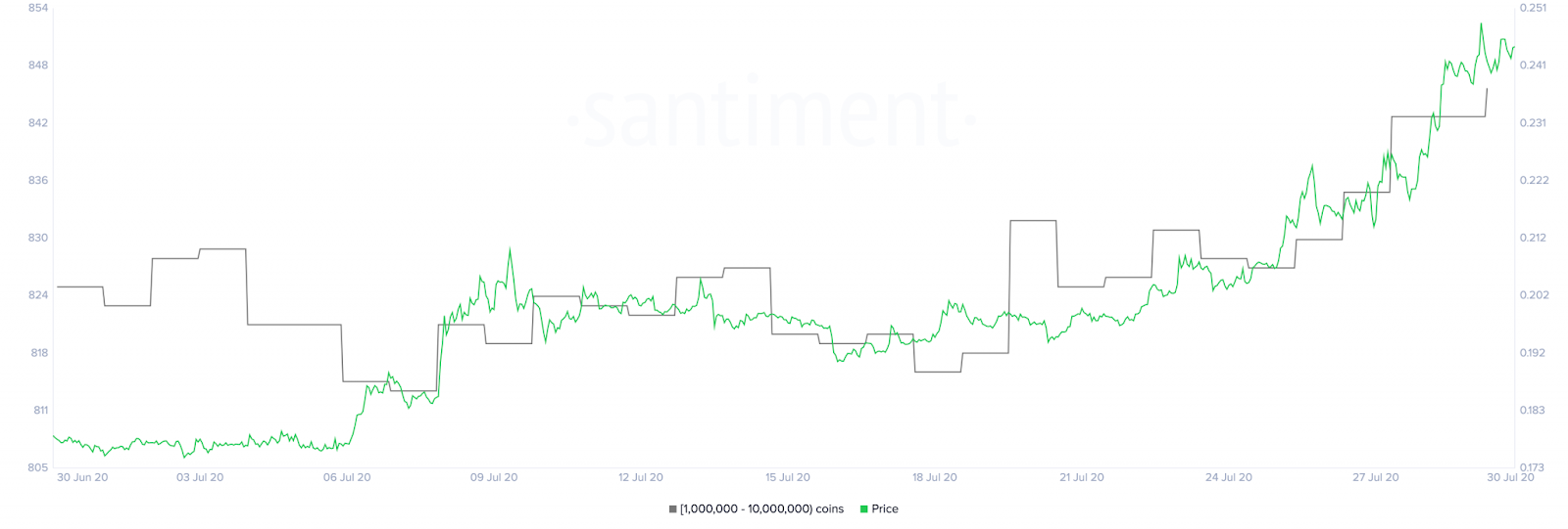 XRP Holder Distribution vs. Price