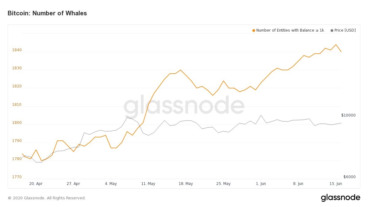 Bitcoin whale entities 2-month chart