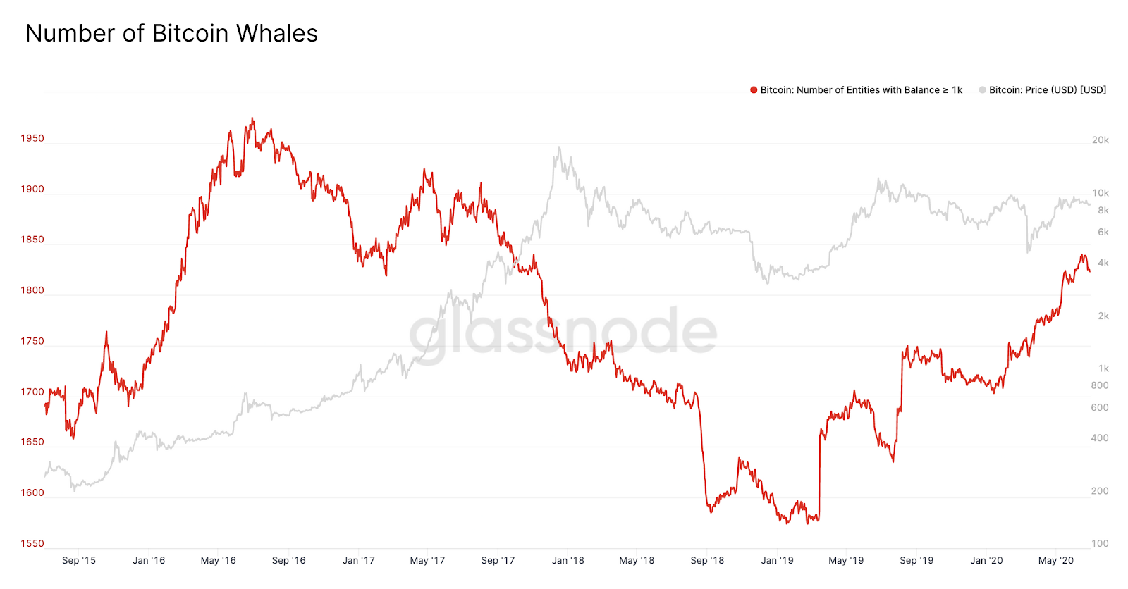 The number of Bitcoin whales increased substantially since March
