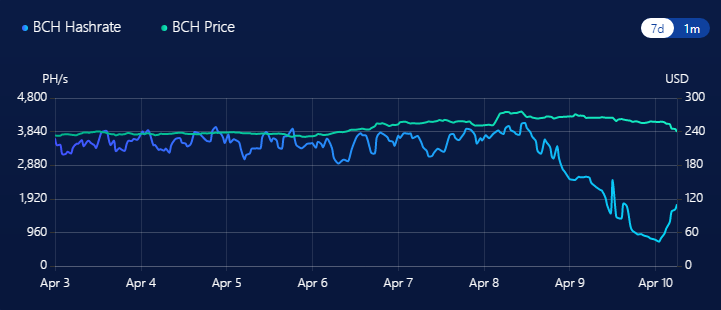 BCH hashrate over seven days