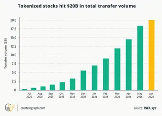 Growth of tokenized stocks